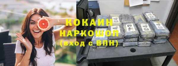 хмурый Арсеньев