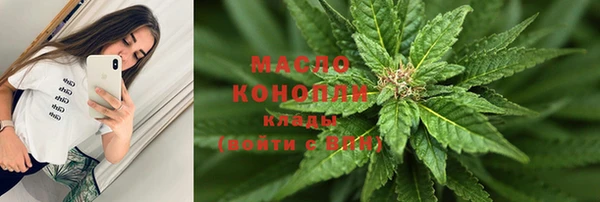 хмурый Арсеньев