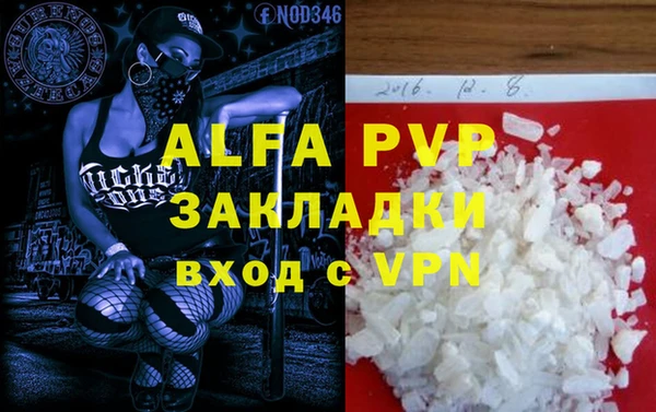 сатива Аркадак