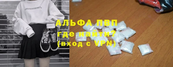сатива Аркадак
