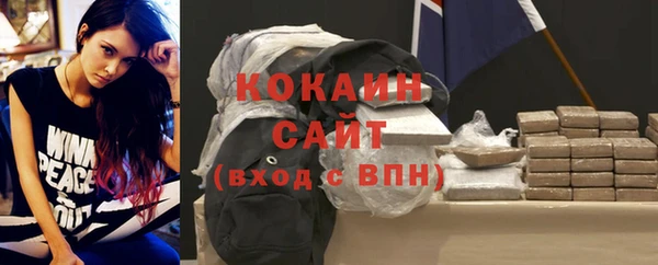 сатива Аркадак
