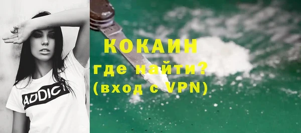 хмурый Арсеньев