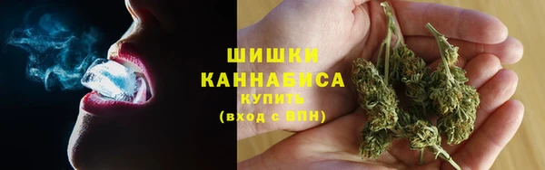 сатива Аркадак