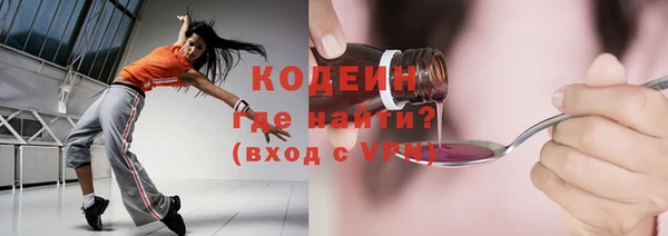 хмурый Арсеньев