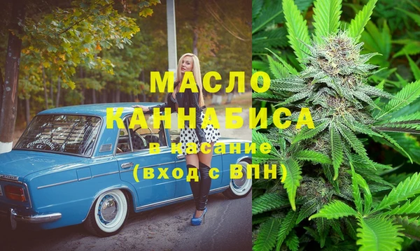 хмурый Арсеньев