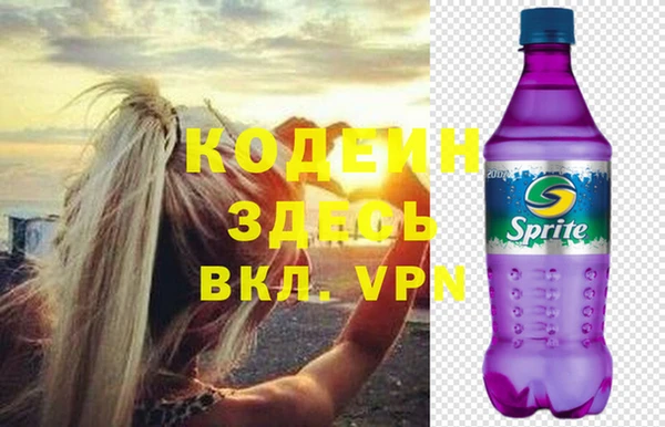 хмурый Арсеньев