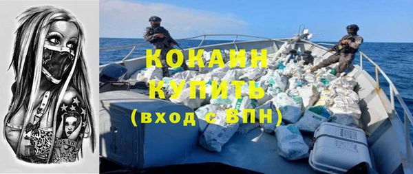 сатива Аркадак