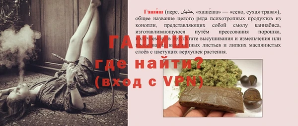 хмурый Арсеньев