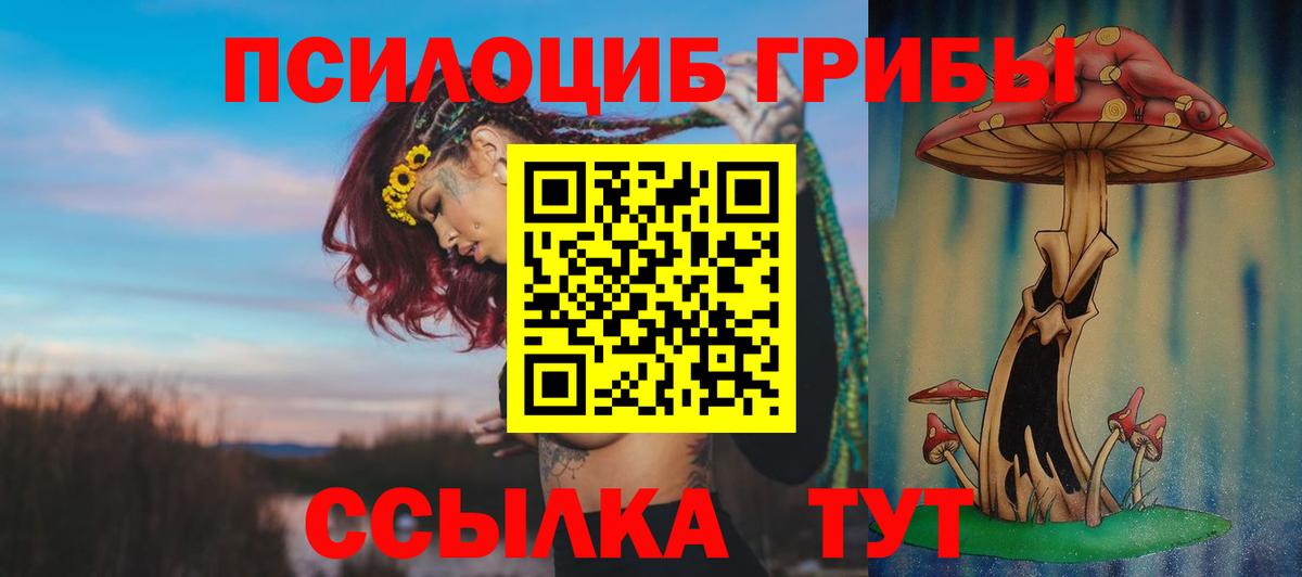 купить  цена  Галлюциногенные грибы мицелий  Вход с VPN  Новомосковск 